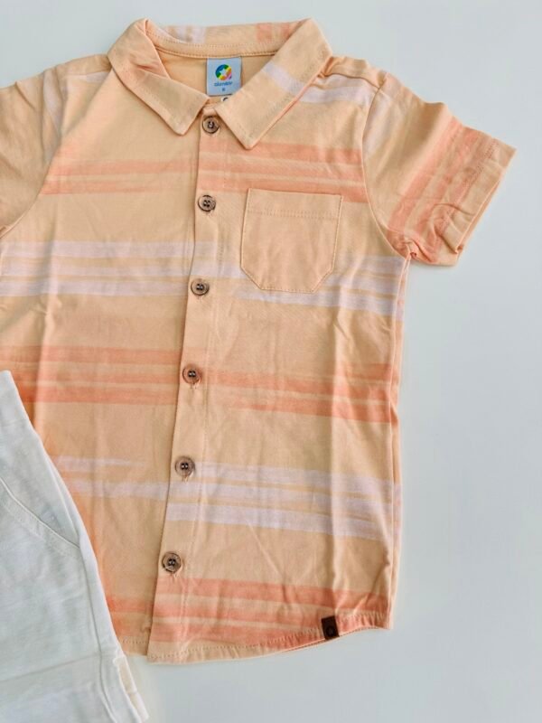Conjunto Camisa e Bermuda Paradise Infantil - Alenice - Image 5